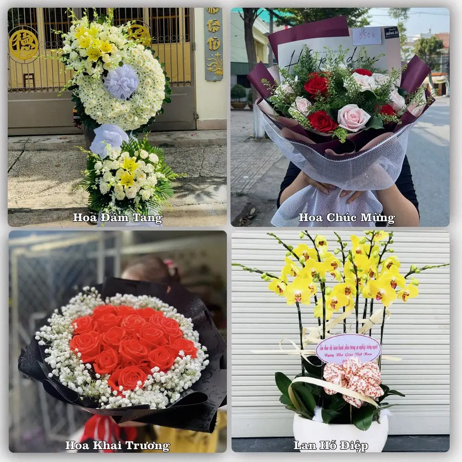 Mẫu hoa tươi dành cho khách đặt hoa tại Giồng Trôm