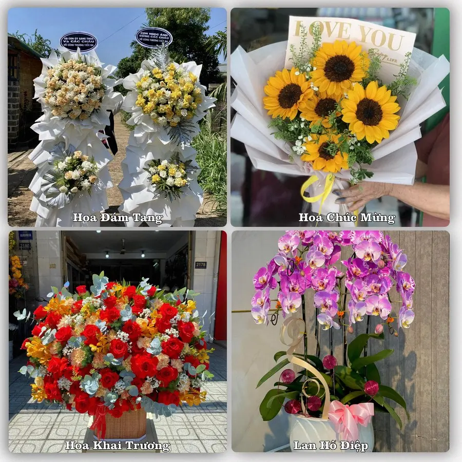 Mẫu hoa tươi dành cho khách đặt hoa tại Mỏ Cày, Mỏ Cày Nam