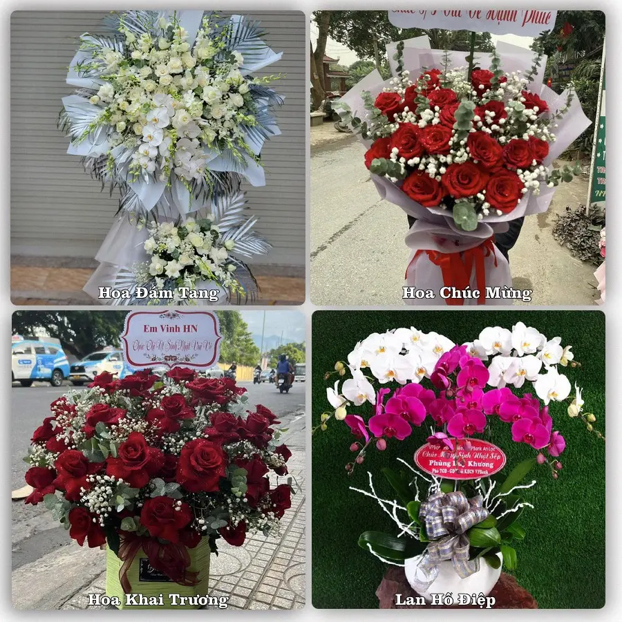 Tư vấn chọn hoa theo từng dịp tại Mỏ Cày, Mỏ Cày Nam