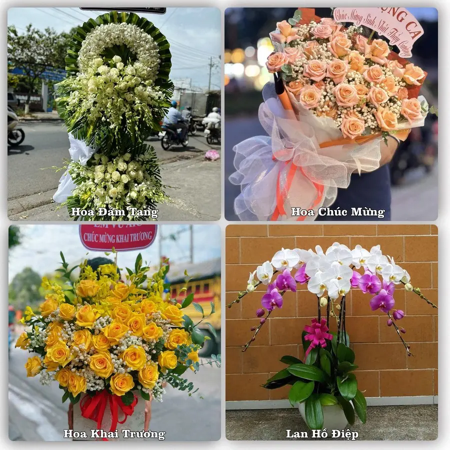 Tư vấn chọn hoa theo từng dịp tại Mỹ Luông, Chợ Mới