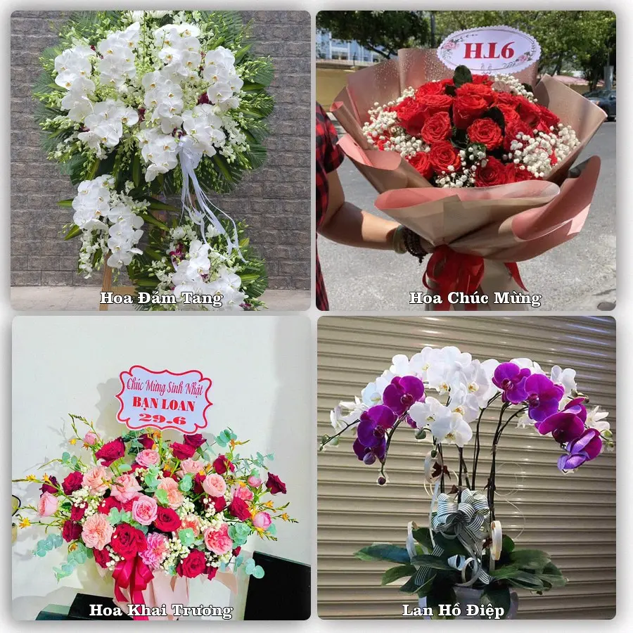 Mẫu hoa tươi dành cho khách đặt hoa tại Chợ Mới