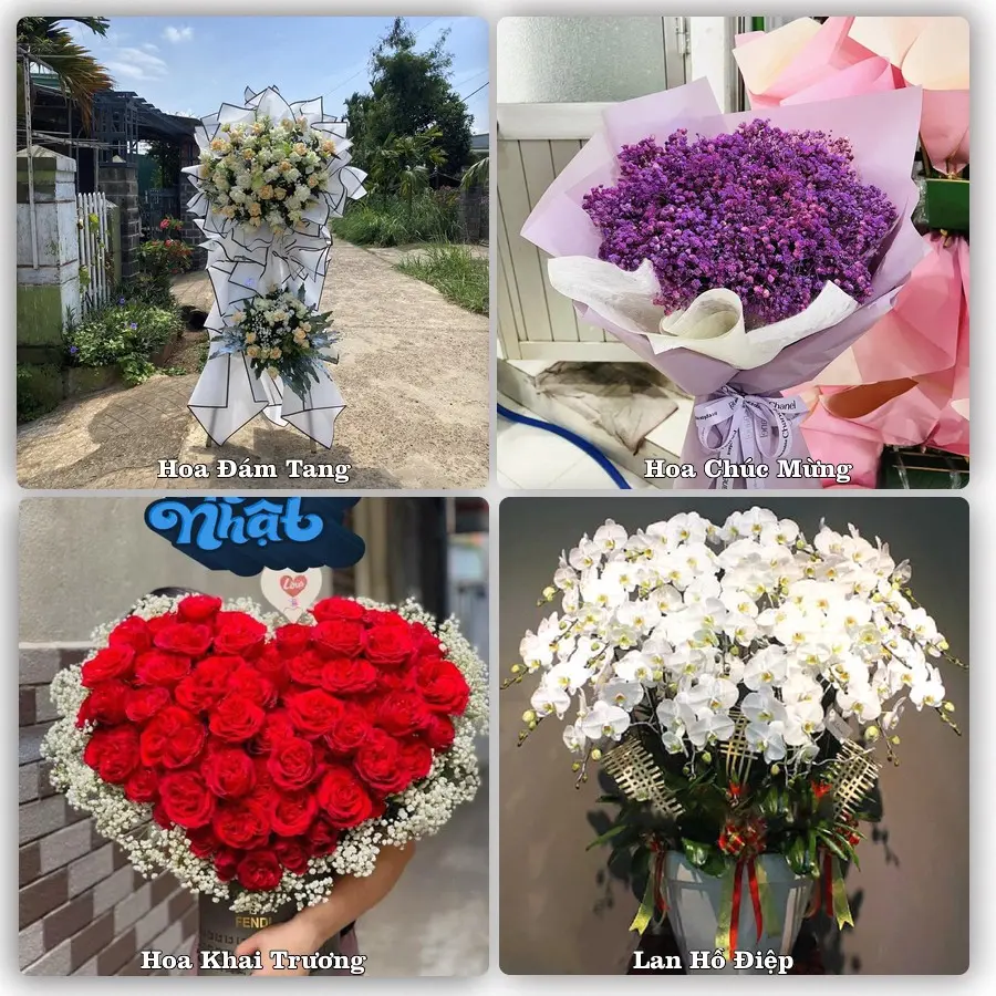 Tư vấn chọn hoa theo từng dịp tại Chợ Lách