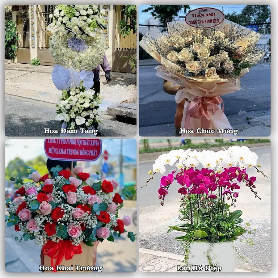 Mẫu hoa tươi dành cho khách đặt hoa tại Tầm Vu, Châu Thành