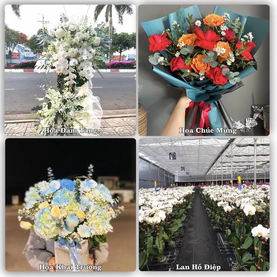 Mẫu hoa tươi dành cho khách đặt hoa tại Cần Giuộc