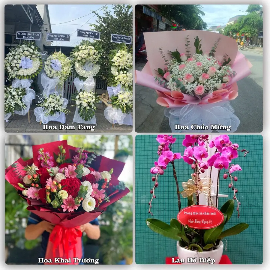 Mẫu hoa tươi dành cho khách đặt hoa tại Hiệp Hòa, Đức Hòa