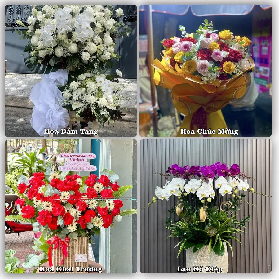 Tư vấn chọn hoa theo từng dịp tại Đông Thành, Đức Huệ