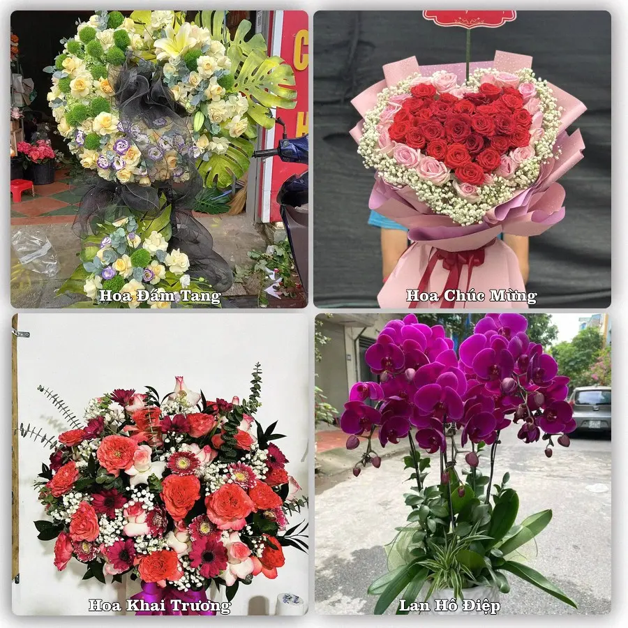 Mẫu hoa tươi dành cho khách đặt hoa tại Vàm Láng, Gò Công Đông