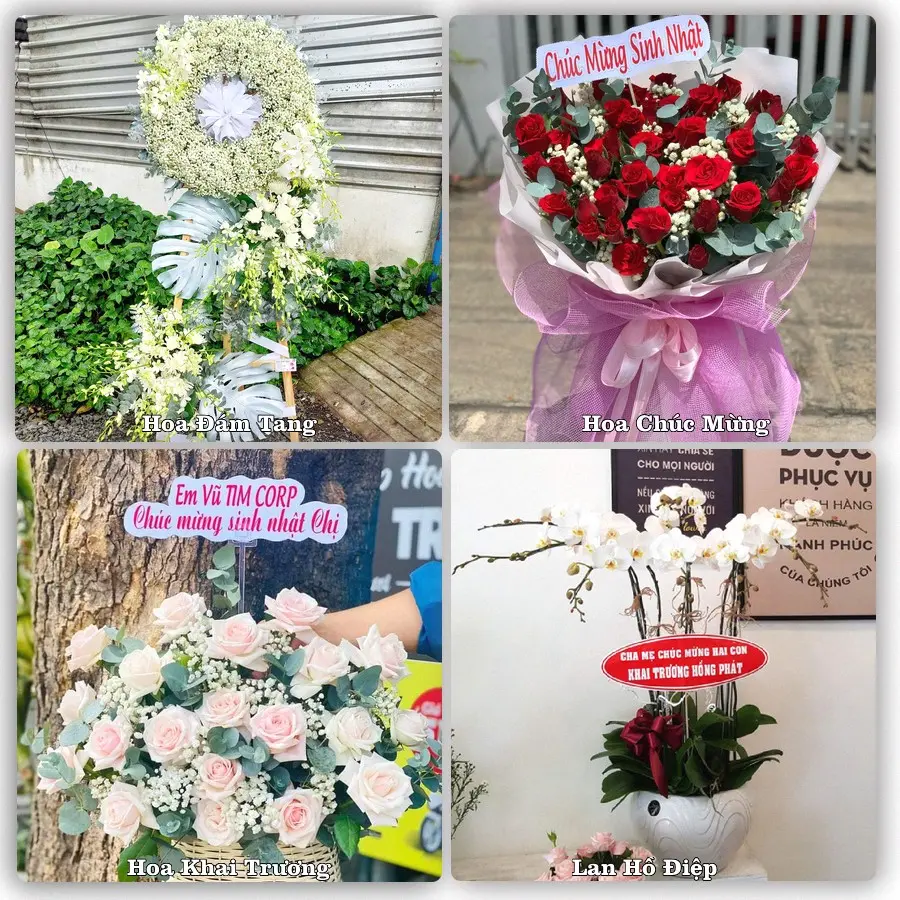 Tư vấn chọn hoa theo từng dịp tại Vàm Láng, Gò Công Đông