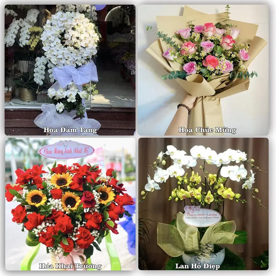 Tư vấn chọn hoa theo từng dịp tại Tân Thạnh