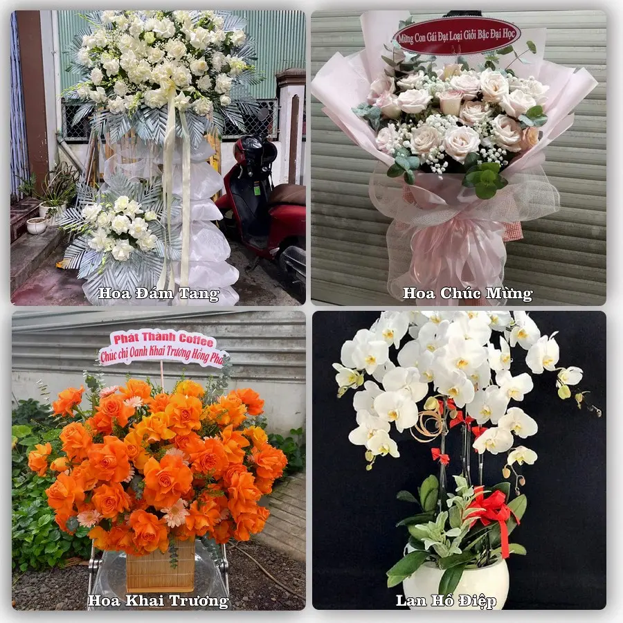 Mẫu hoa tươi dành cho khách đặt hoa tại Vĩnh Hưng