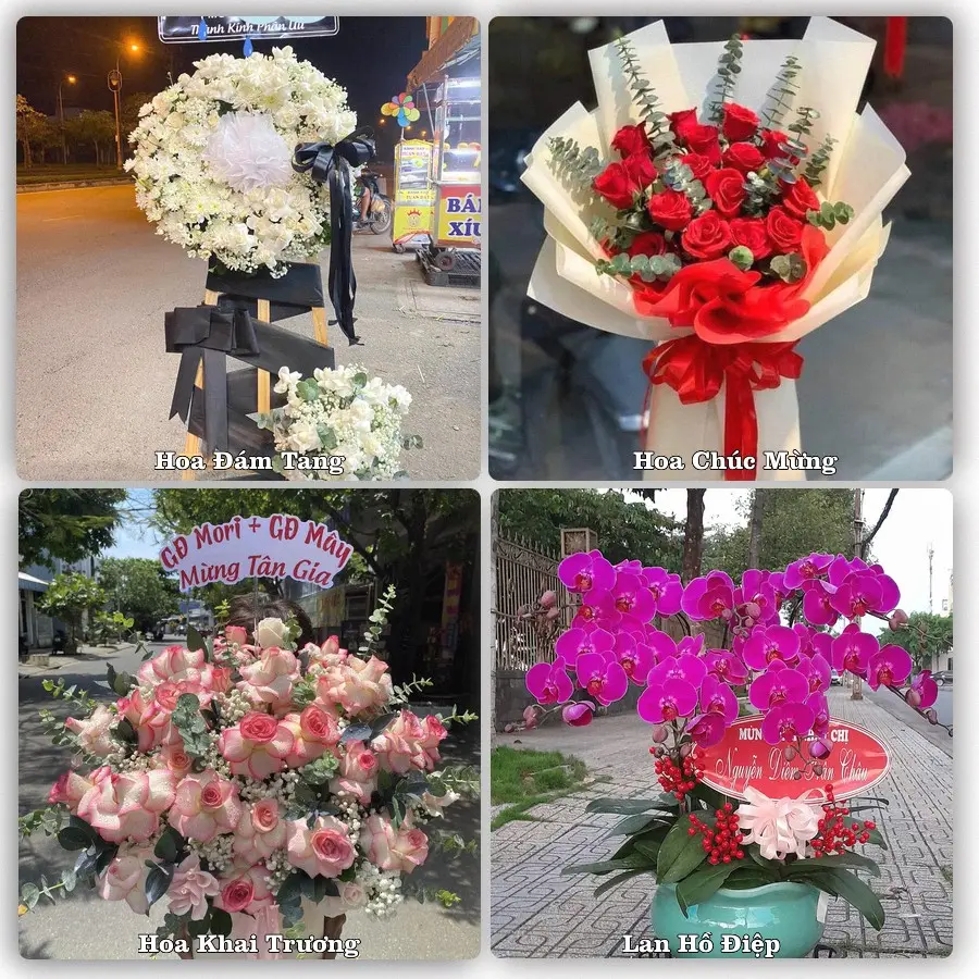 Mẫu hoa tươi dành cho khách đặt hoa tại Tân Hưng