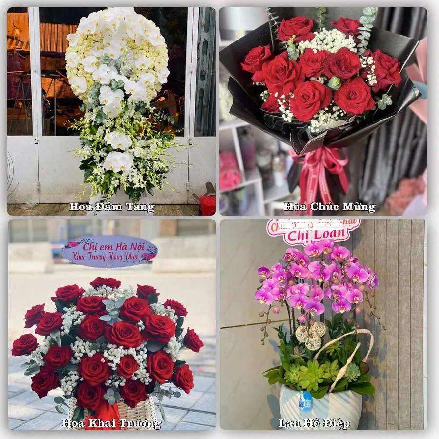 Tư vấn chọn hoa theo từng dịp tại Cần Thạnh, Cần Giờ