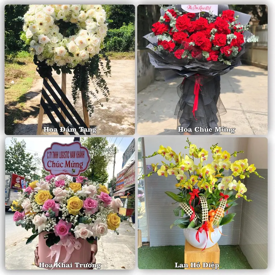 Mẫu hoa tươi dành cho khách đặt hoa tại Hóc Môn