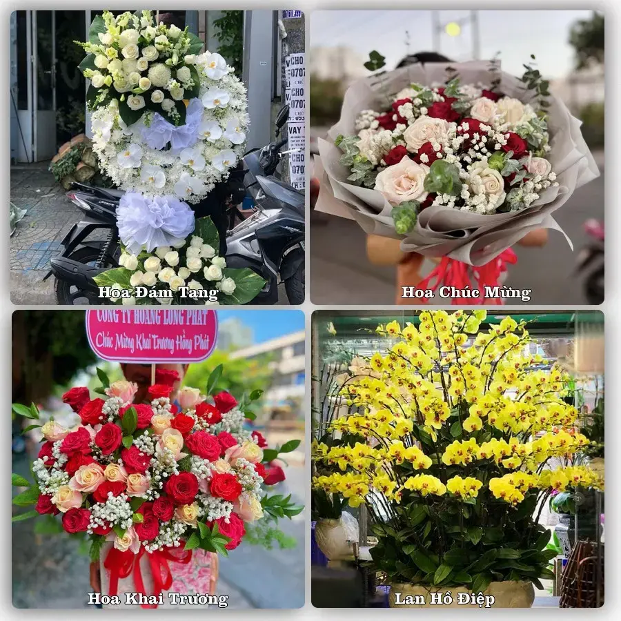 Shop hoa tươi Phước Hải, Đất Đỏ – Tư vấn 24/7, giao trong 2 giờ