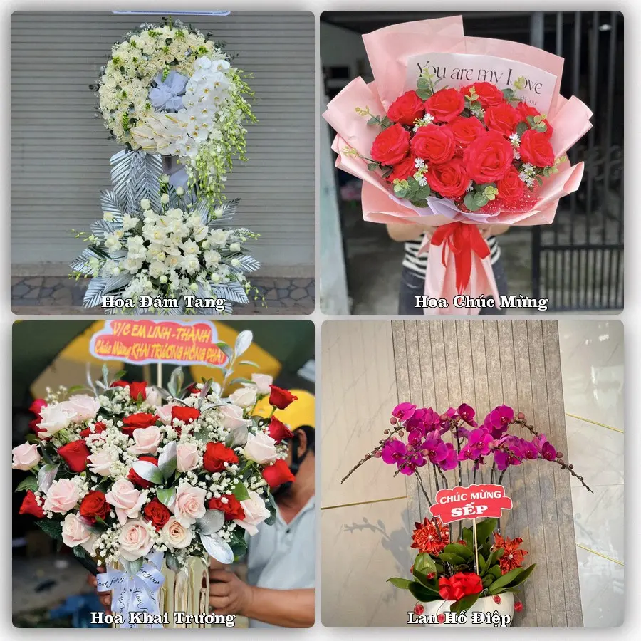 Tư vấn chọn hoa theo từng dịp tại Phước Hải, Đất Đỏ