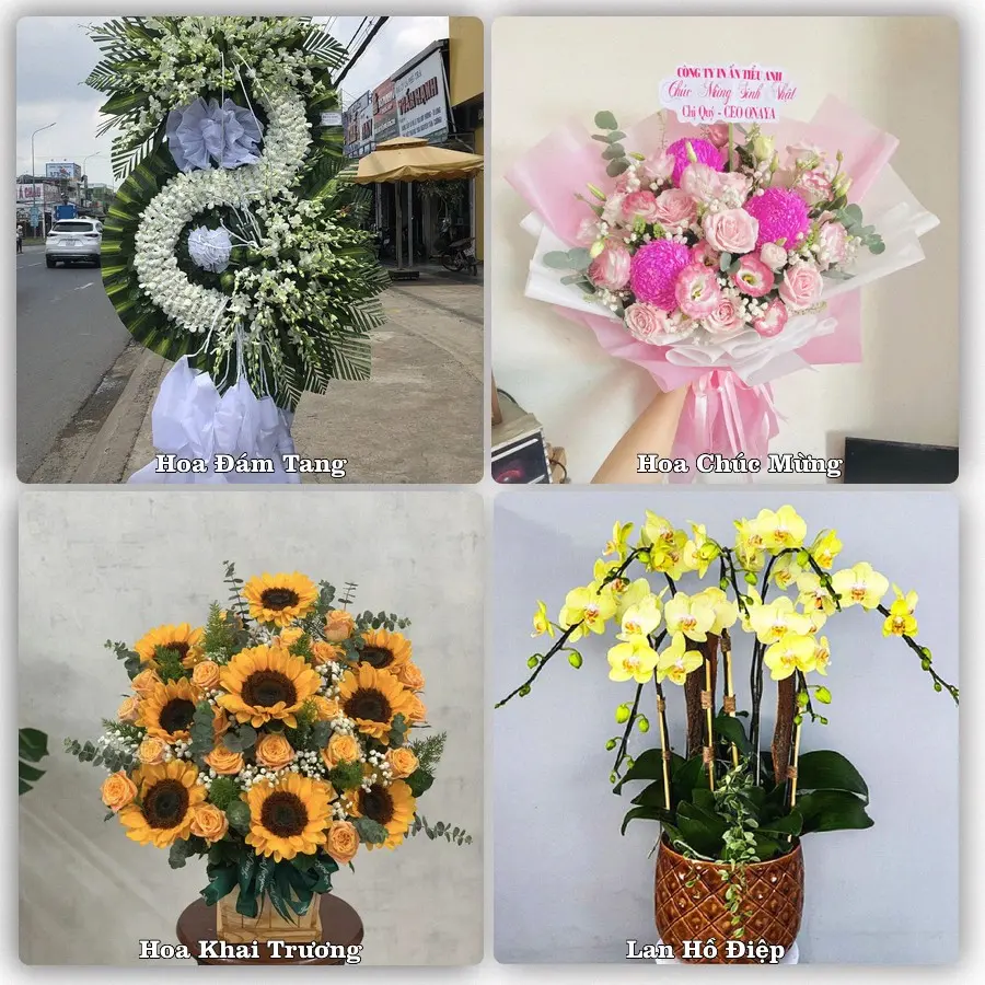 Tư vấn chọn hoa theo từng dịp tại Đất Đỏ