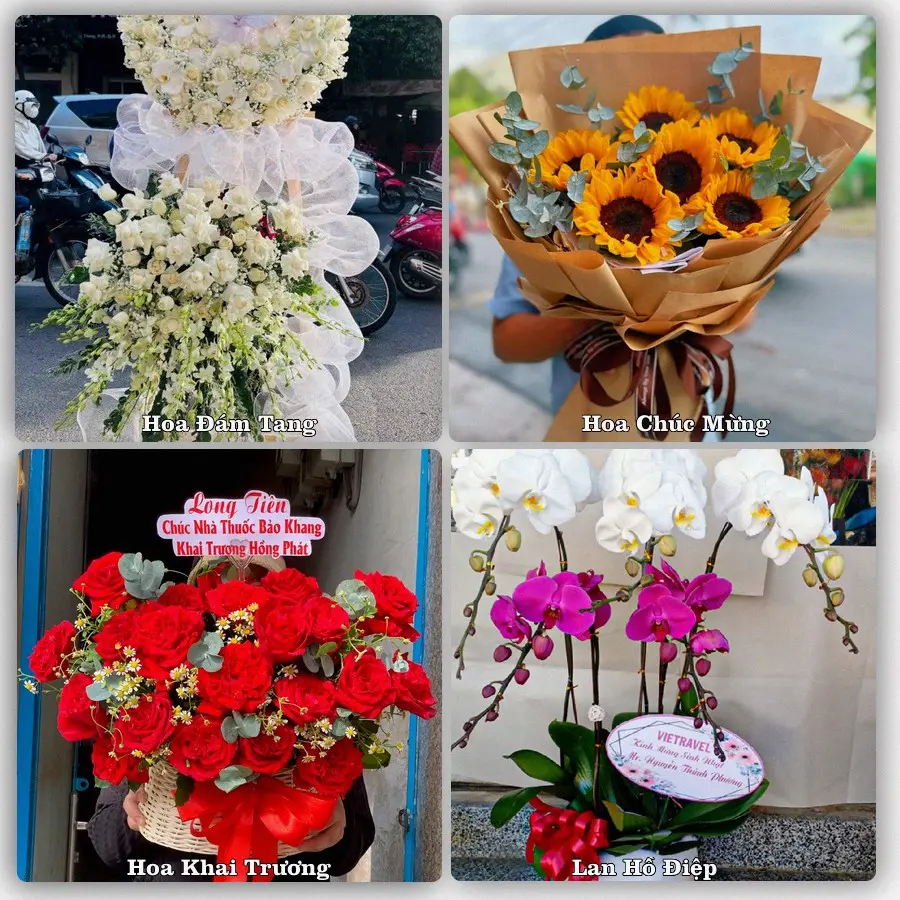 Mẫu hoa tươi dành cho khách đặt hoa tại Long Hải, Long Điền