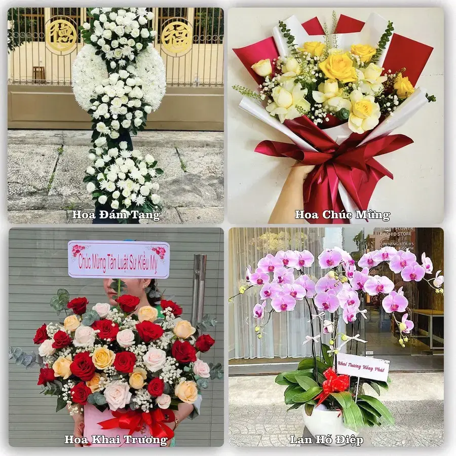 Tư vấn chọn hoa theo từng dịp tại Long Hải, Long Điền