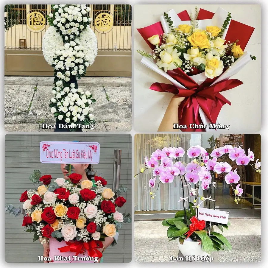 Tư vấn chọn hoa theo từng dịp tại Long Hải, Long Điền