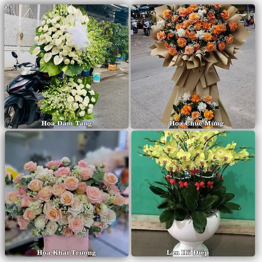 Mẫu hoa tươi dành cho khách đặt hoa tại Vĩnh Bình, Gò Công Tây