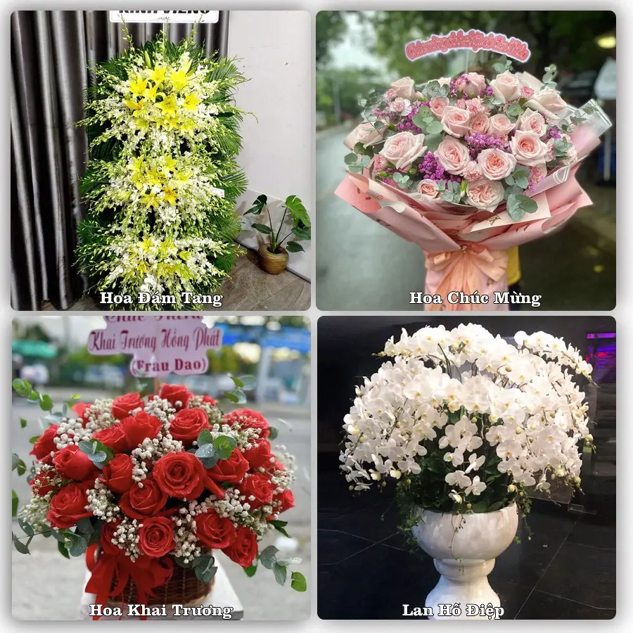 Mẫu hoa tươi dành cho khách đặt hoa tại Vĩnh An, Vĩnh Cửu