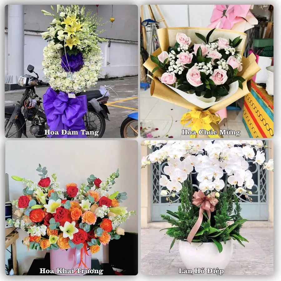 Tư vấn chọn hoa theo từng dịp tại Vĩnh An, Vĩnh Cửu