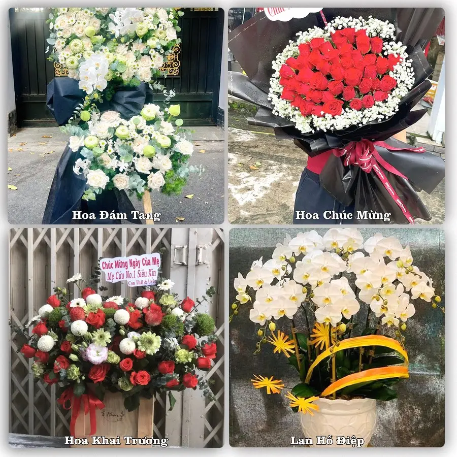 Mẫu hoa tươi dành cho khách đặt hoa tại Tân Phú