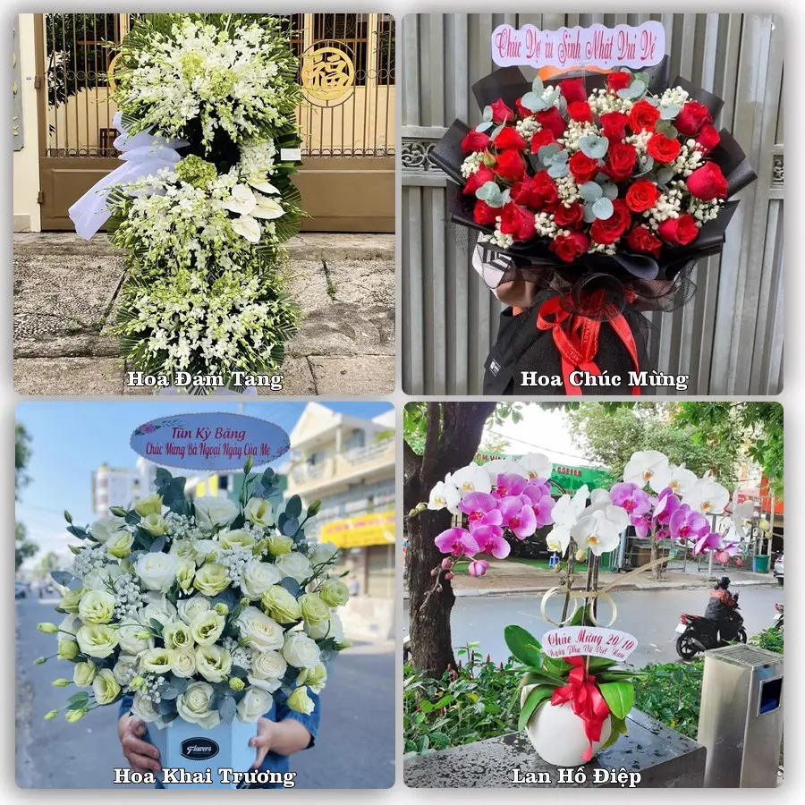Mẫu hoa tươi dành cho khách đặt hoa tại Tân Thành, Bắc Tân Uyên