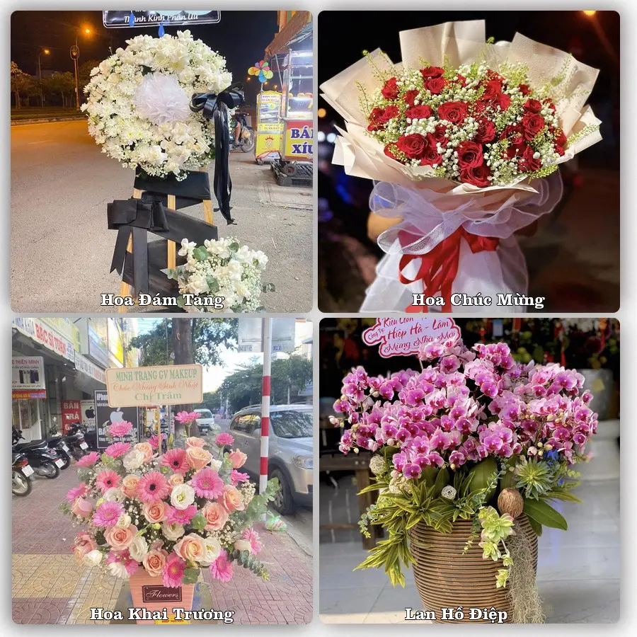 Mẫu hoa tươi dành cho khách đặt hoa tại Tân Bình, Bắc Tân Uyên