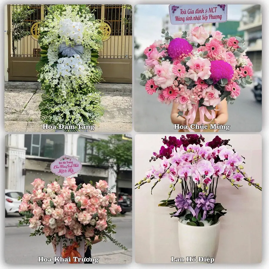 Tư vấn chọn hoa theo từng dịp tại Tân Bình, Bắc Tân Uyên