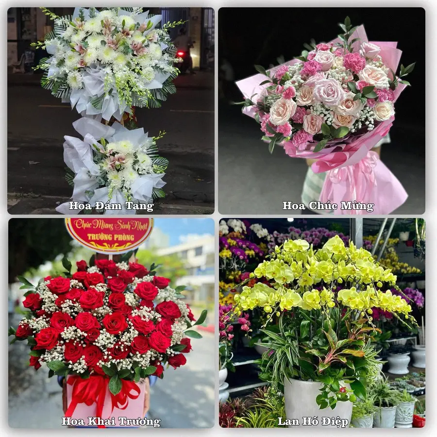 Mẫu hoa tươi dành cho khách đặt hoa tại Lai Uyên, Bàu Bàng