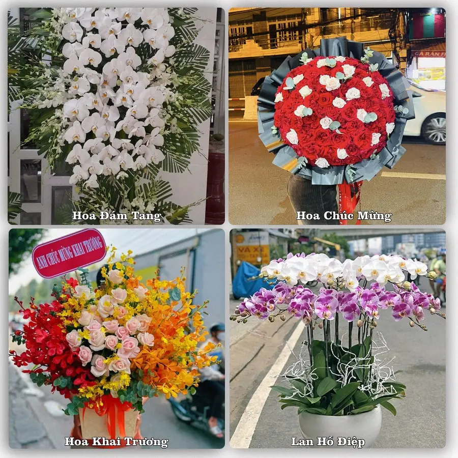 Mẫu hoa tươi dành cho khách đặt hoa tại Bến Cầu