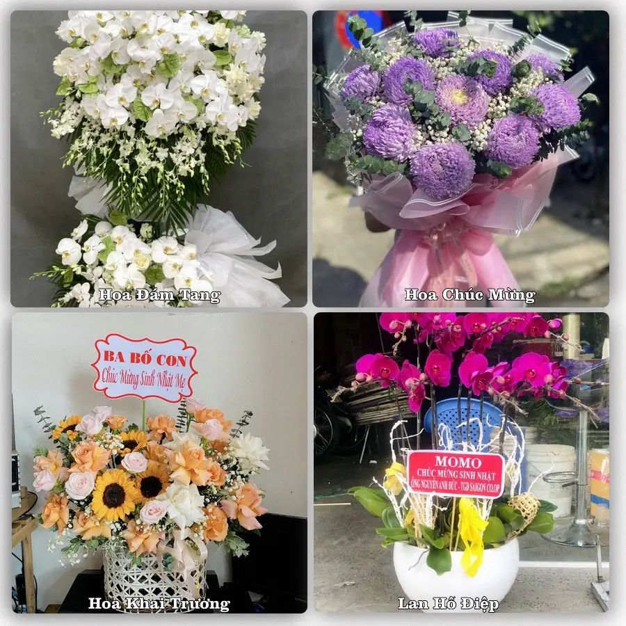 Tư vấn chọn hoa theo từng dịp tại Bến Cầu