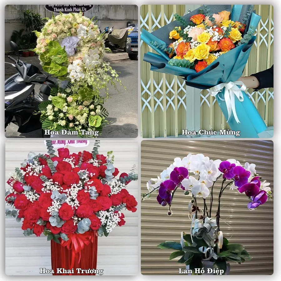 Tư vấn chọn hoa theo từng dịp tại Bình Phú, Cai Lậy