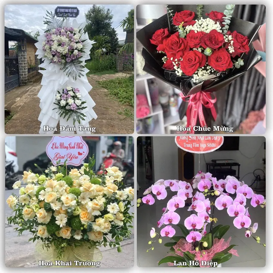 Mẫu hoa tươi dành cho khách đặt hoa tại Cái Bè