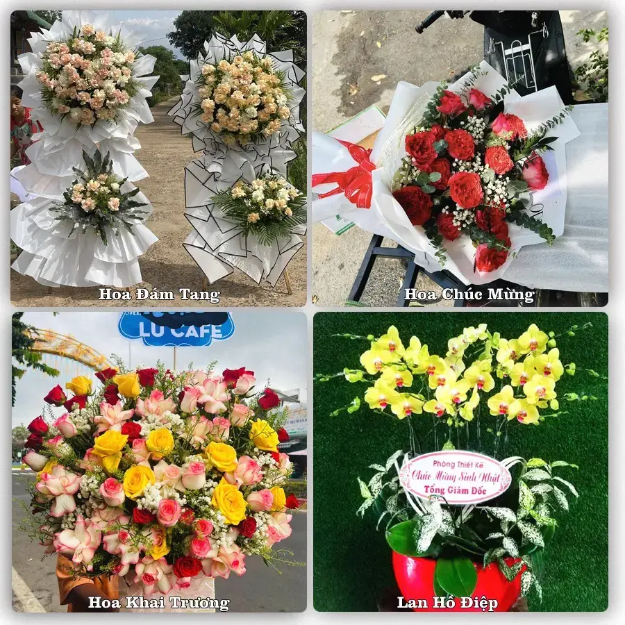 Tư vấn chọn hoa theo từng dịp tại Bà Rịa, Bà Rịa - Vũng Tàu