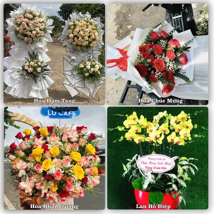 Tư vấn chọn hoa theo từng dịp tại Bà Rịa, Bà Rịa - Vũng Tàu