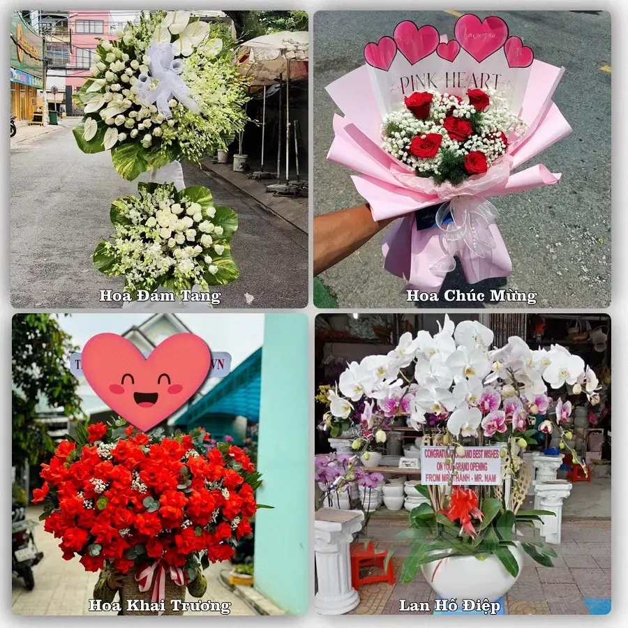 Shop hoa tươi Bến Tre – Giao tận nơi trong 2 giờ