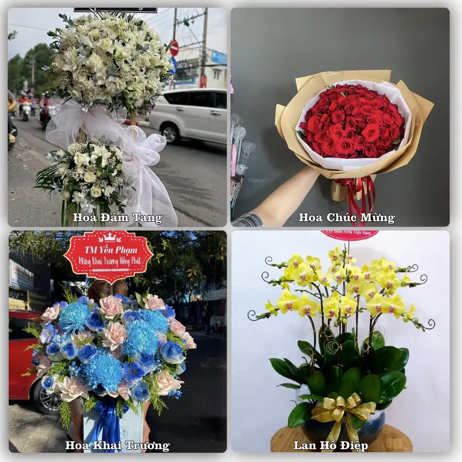Mẫu hoa tươi dành cho khách đặt hoa tại Biên Hòa, Đồng Nai