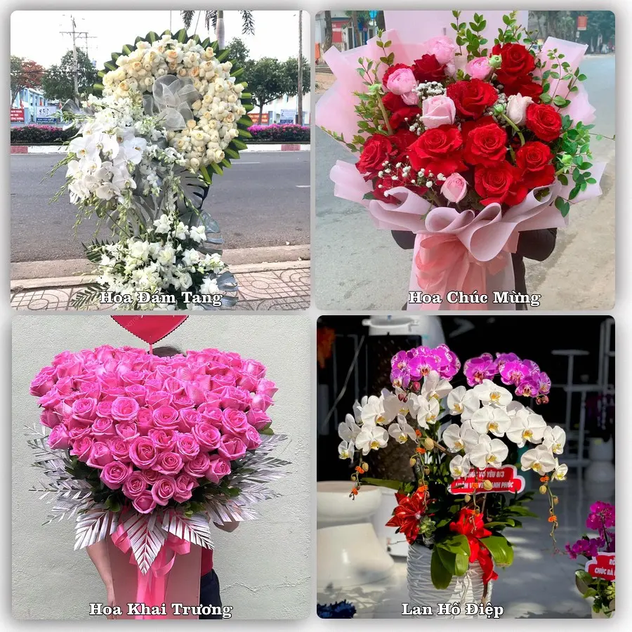 Tư vấn chọn hoa theo từng dịp tại Buôn Ma Thuột, Đắk Lắk
