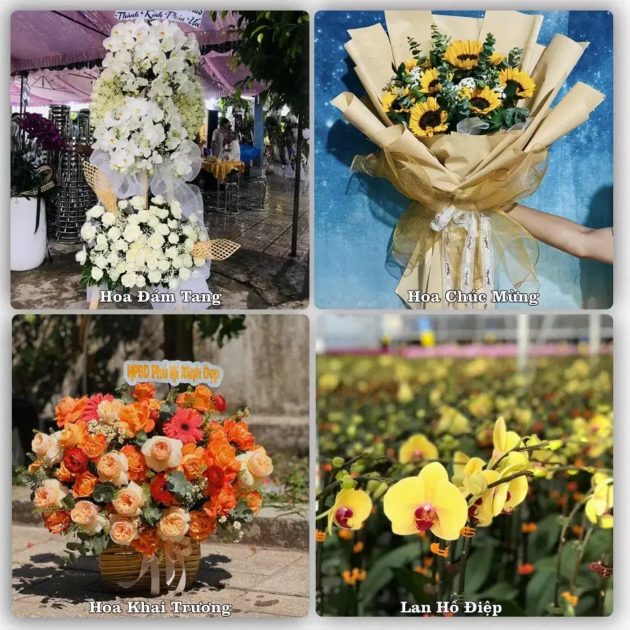 Shop hoa tươi Cao Lãnh, Đồng Tháp – Giao tận nơi trong 2 giờ