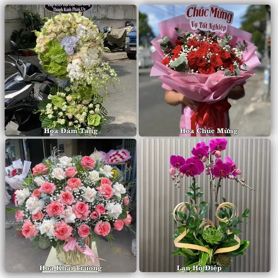Tư vấn chọn hoa theo từng dịp tại Cao Lãnh, Đồng Tháp
