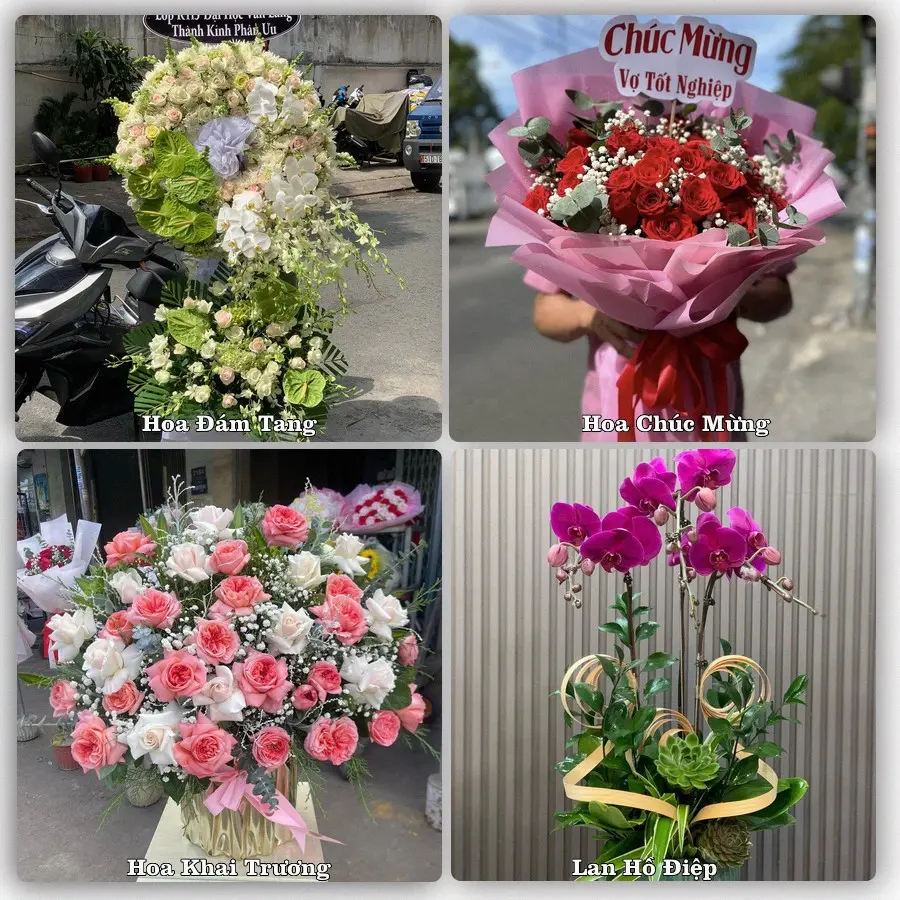 Tư vấn chọn hoa theo từng dịp tại Cao Lãnh, Đồng Tháp