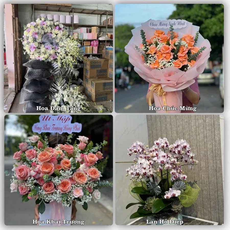 Mẫu hoa tươi dành cho khách đặt hoa tại Đà Lạt, Lâm Đồng