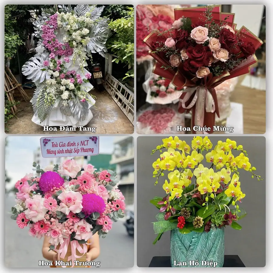 Tư vấn chọn hoa theo từng dịp tại Đà Lạt, Lâm Đồng