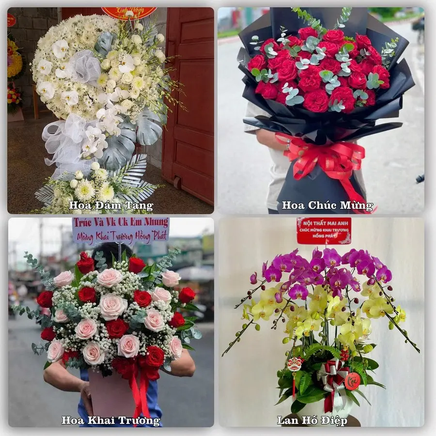 Tư vấn chọn hoa theo từng dịp tại Đồng Xoài, Bình Phước