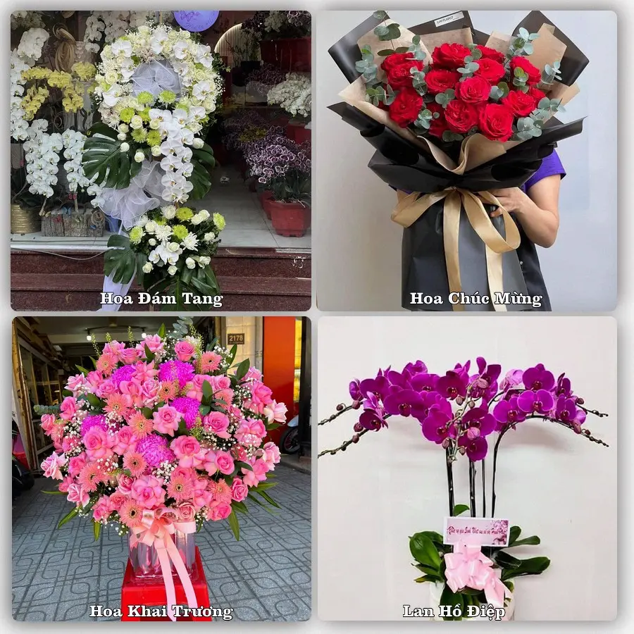 Mẫu hoa tươi dành cho khách đặt hoa tại Gia Nghĩa, Đắk Nông