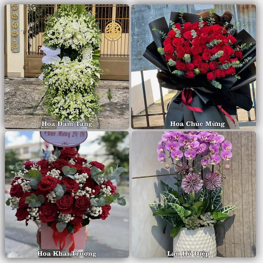 Tư vấn chọn hoa theo từng dịp tại Gia Nghĩa, Đắk Nông
