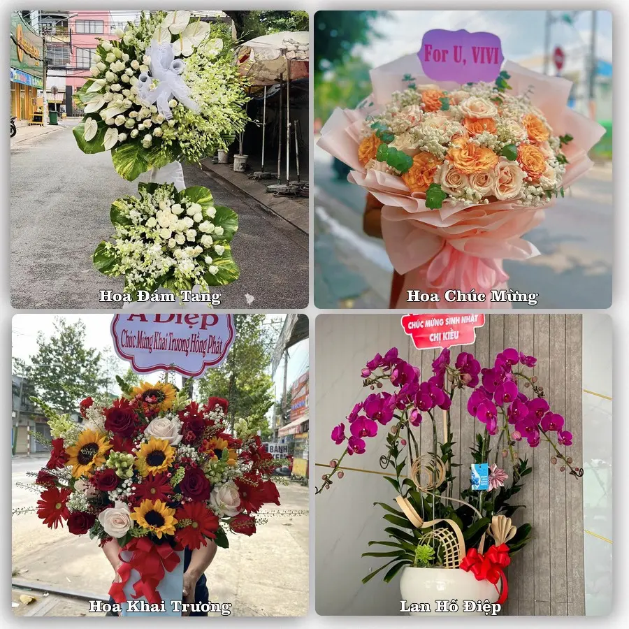 Mẫu hoa tươi dành cho khách đặt hoa tại Long Khánh, Đồng Nai