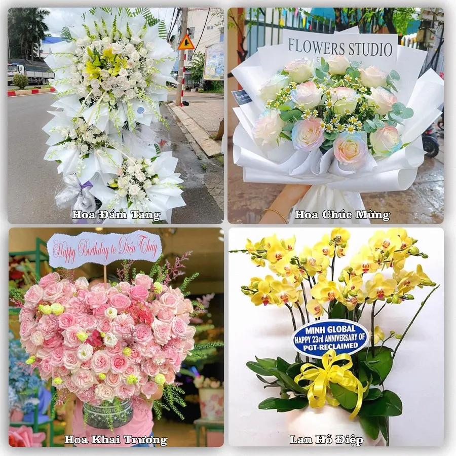 Mẫu hoa tươi dành cho khách đặt hoa tại Tân An, Long An
